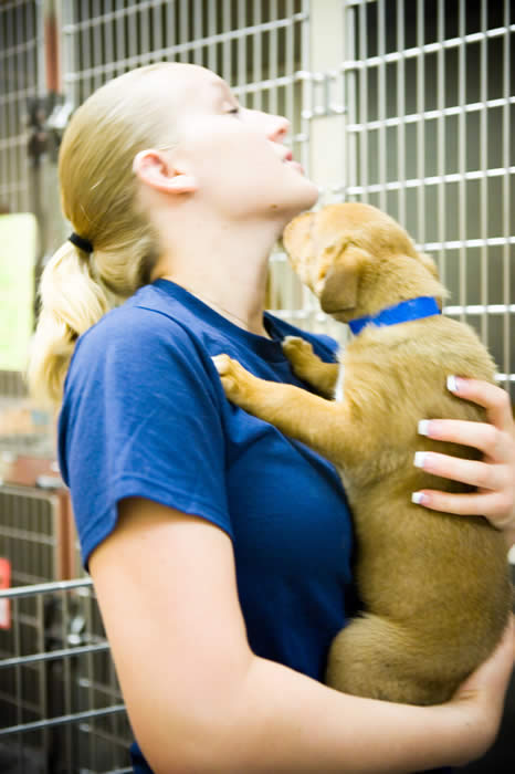 Vet and puppy